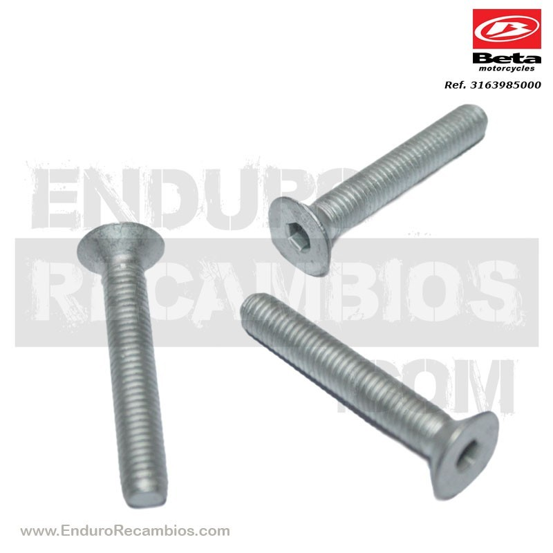 Tornillo TSPCE 8.50 cl 10.9 - 3163985000