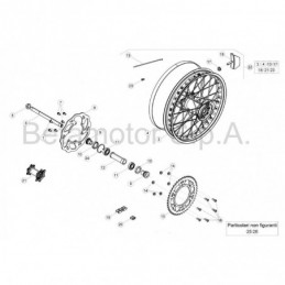 Radios rueda trasera Ref.: 031420370052 037420130052
