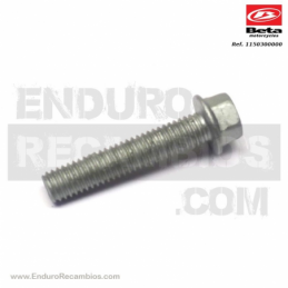 Nº 24 Tornillo 6x30 ch rs...