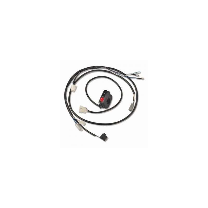 KIT INSTALACION ELEC. RR 2T 125-200-250-300 DESDE 2020 - 040460060000