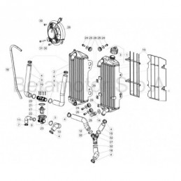 TERMOSTATO RR 2T 250-300cc XTRAINER 026390130000