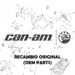 CAN-AM ST-2 RPM CHEEK PADS...