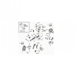 MUELLE PASTILLAS PINZA RR-4T - 2232207000