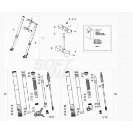 Nº 11 - GRUPO EXTENSION -...