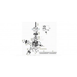 TORICA OR 17,96 X 2,62 - C02060520000