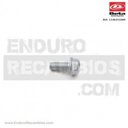 Nº 31.0 - TORNILLO 5-12 RS...