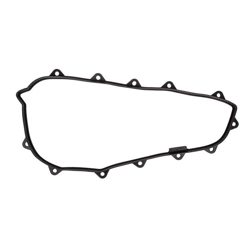 Gasket - 420430127