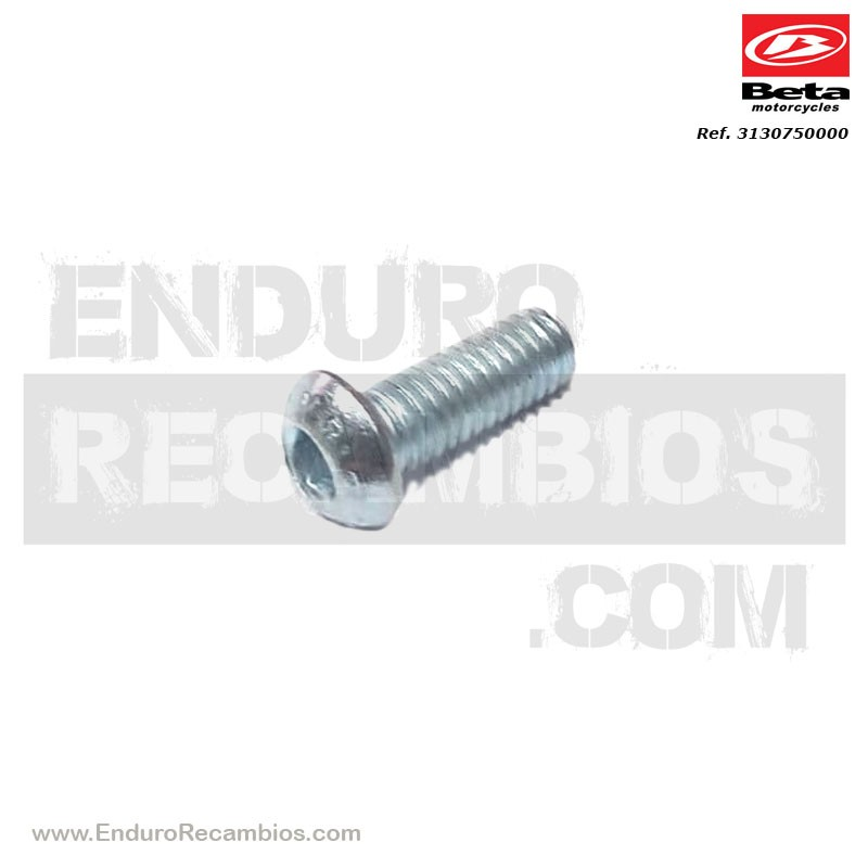 TORNILLO TBIB 6-16 - 3130750000