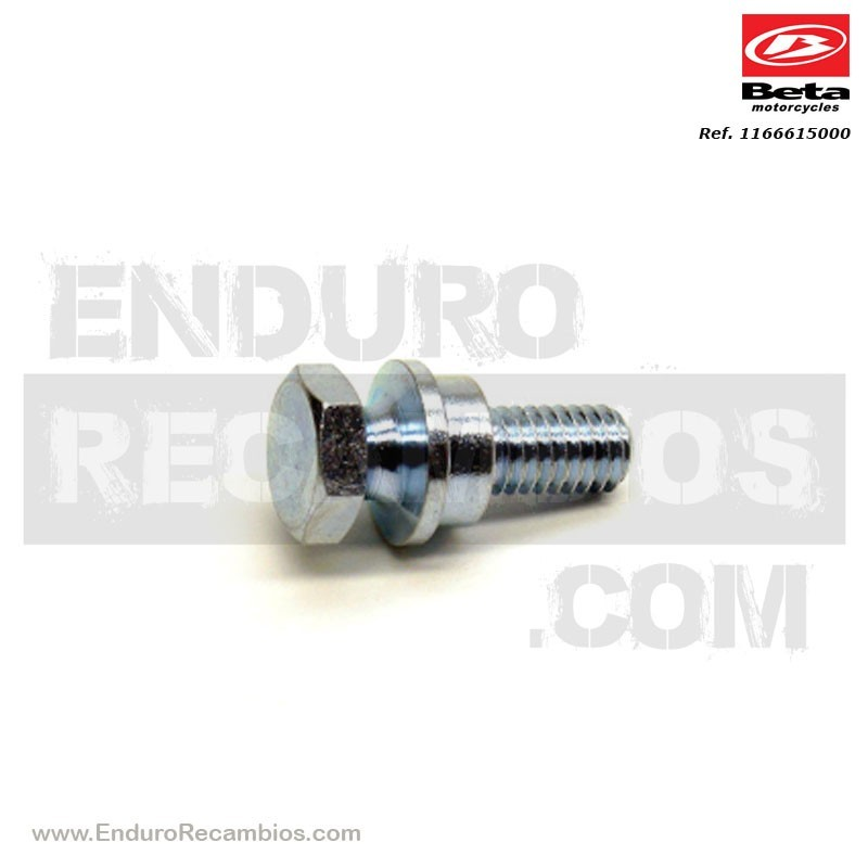 TORNILLO ESP- CAVALLETE RR 4T 2008 - 1166615000