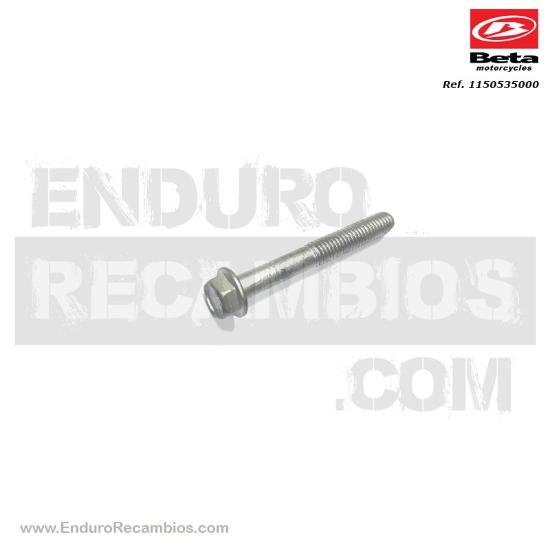 TORNILLO M 6X45 RS CH 8 RR 125/200 2T - 1150535000