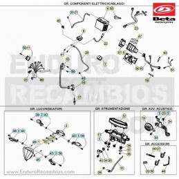 CENTRALITA RR 2T 250 MY 20...