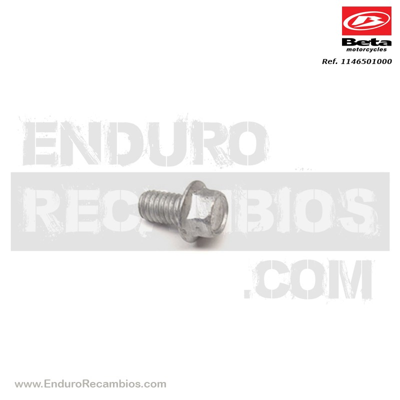 TORNILLO ENCAJE M6-10 RSCH8 - 11.46501.000