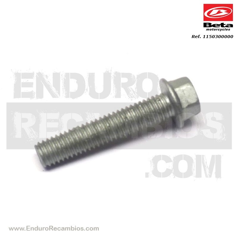 TORNILLO 6,30 RS CH 8 RR-4T - RR 125 - 11.50300.000