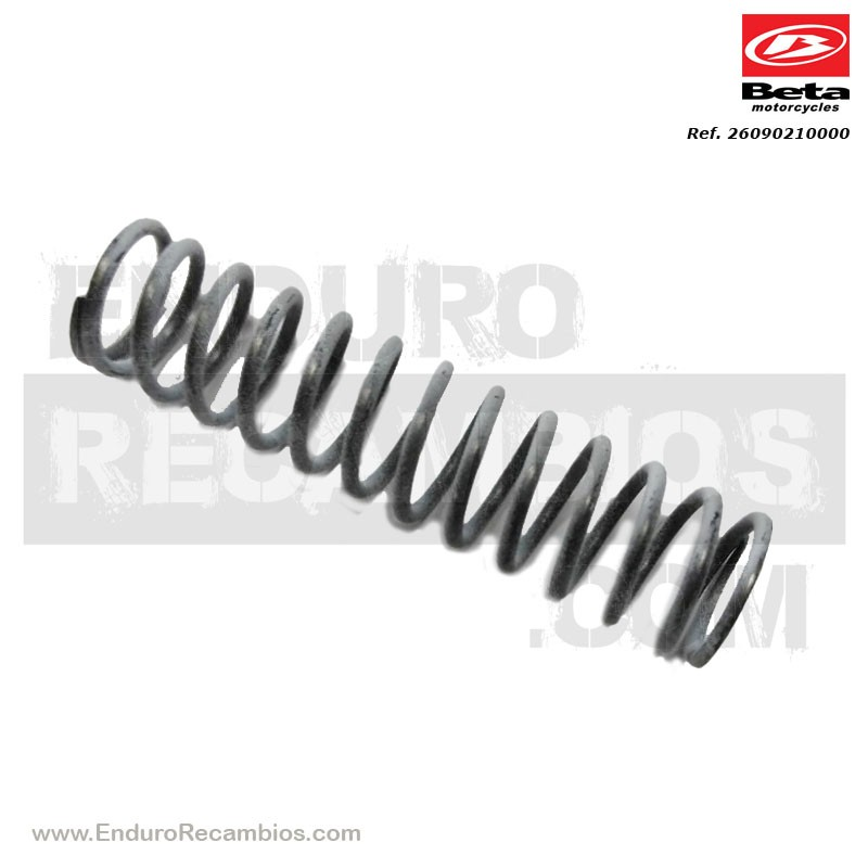 MUELLE REGULACION 250 CC - 026.09.021.00.00