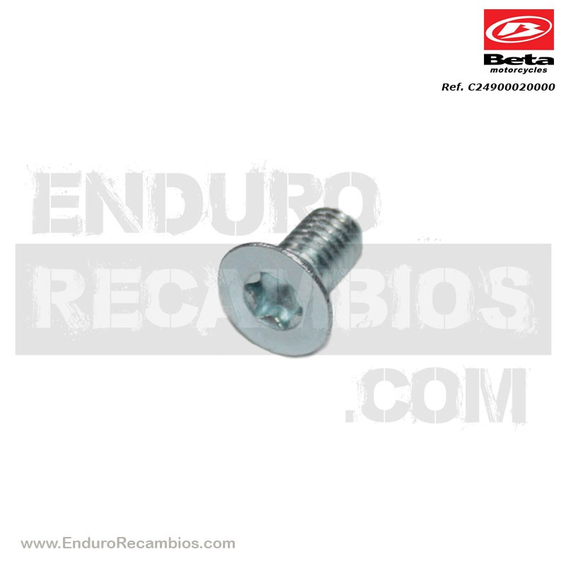 TORNILLO TSP TORX M6X12 - 10-9-12-9 - C24.90.002.00.00