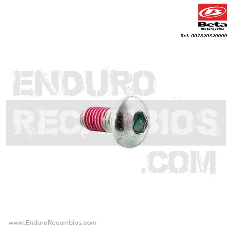 TORNILLO ESP- TSBEI CH6 M8X20 10-9 ZINC - 007.32.032.00.00
