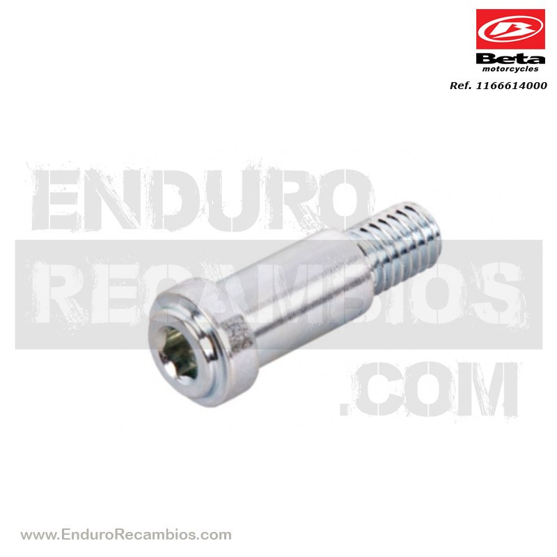 TORNILLO ESPECIAL CABALLETE RR 4T 2008 - 11.66614.000