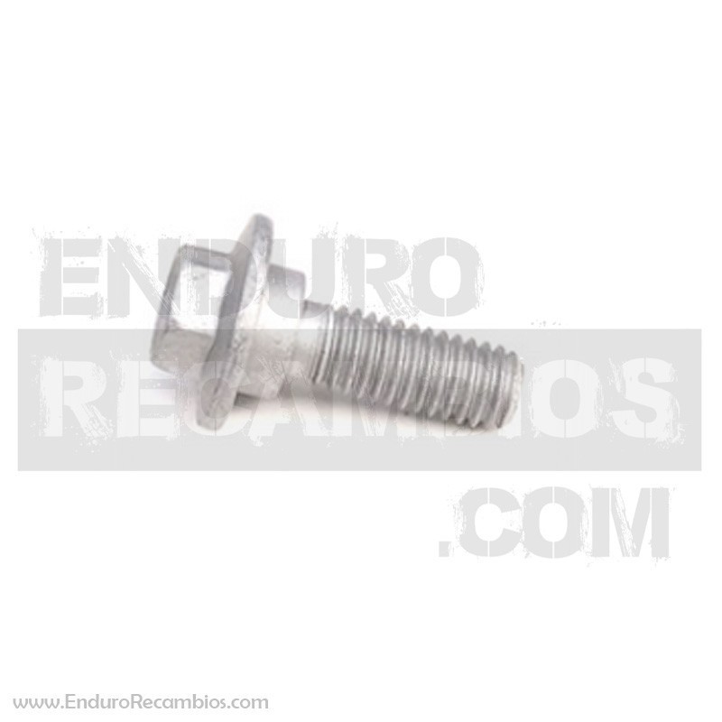 TORNILLO ESPECIAL M 6 X 16 - 037.43.030.00.00