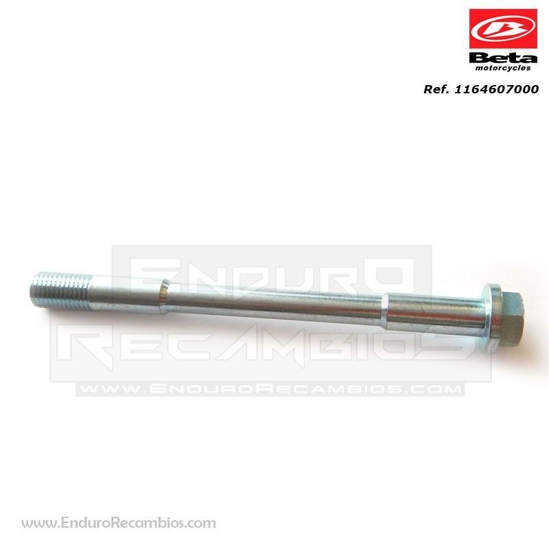 TORNILLO ESPECIAL RR-4T - 11.64607.000