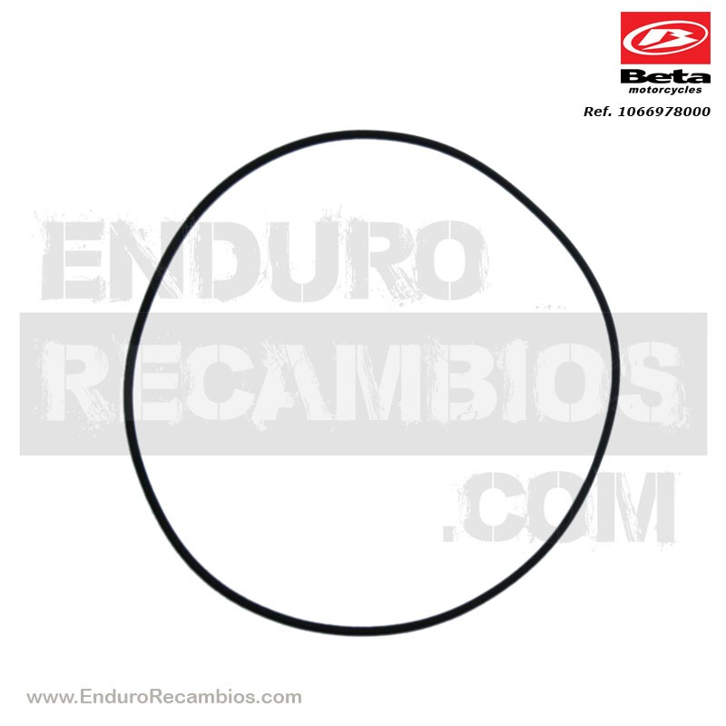 TORICA OR 105-2 VITON - 10.66978.000