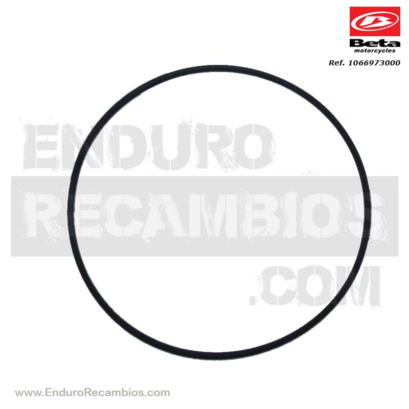 TORICA OR 78-2 VITON - 10.66973.000