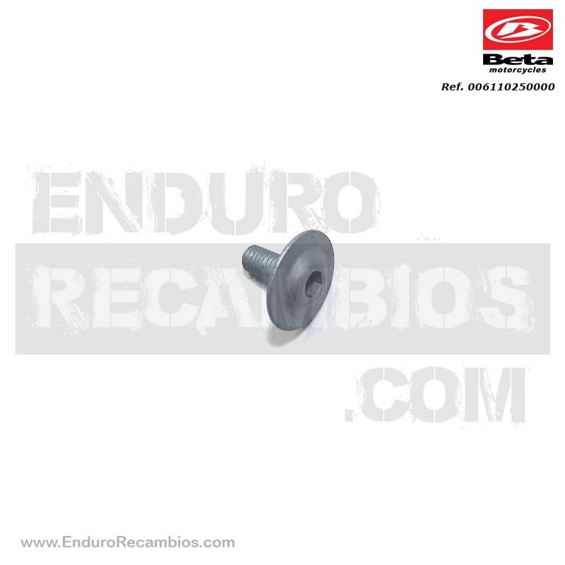TORNILLO TAPA CULATA - 006.11.025.00.00