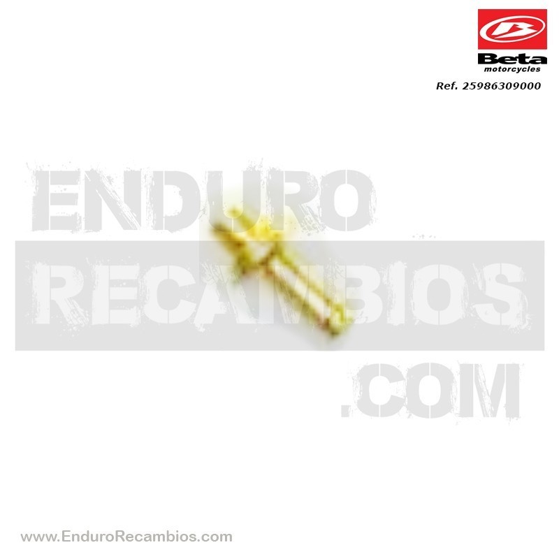 CHICLE - 006.11.009.00.00