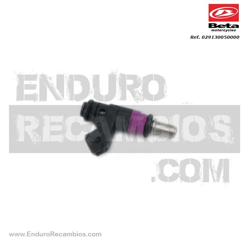 INYECTOR EFI - 029.13.005.00.00