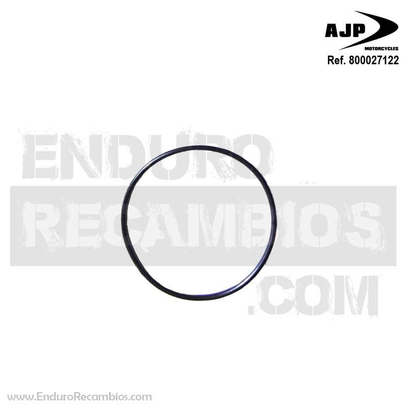 Junta tapa bomba agua (60x2.62) para AJP 800027122