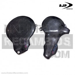 Protecciones de Tapas de Motor en Fibra de Carbono – AJP PR7