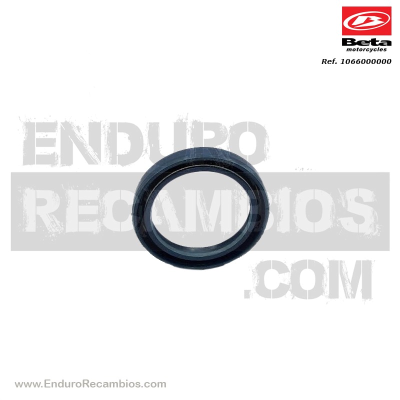 RETEN 35X47X7 RR-4T - 1066000000