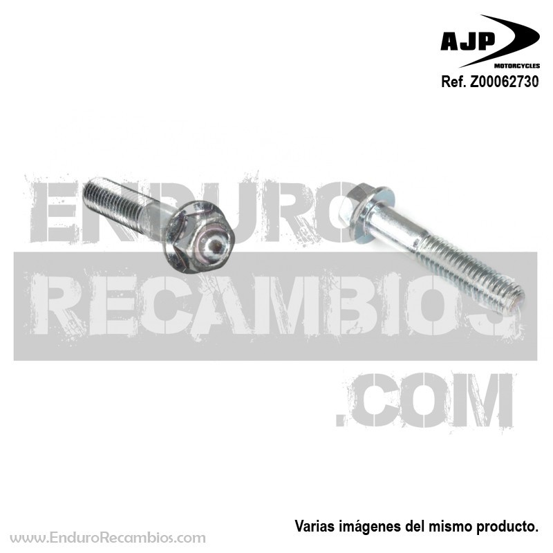 Tornillo (te M6x30 CH8) para AJP Z00062730