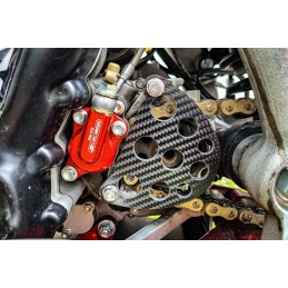 Protector de Piñón de Ataque en Fibra de Carbono – AJP PR7
