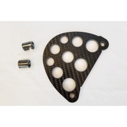 Protector de Piñón de Ataque en Fibra de Carbono – AJP PR7