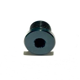 Tornillo de retención del eje (din 908 M14x1,5) para AJP 800099711