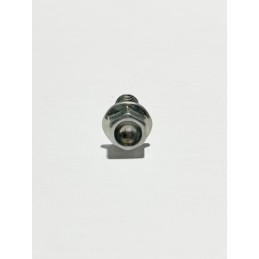 Tornillo con brida (din 69FS2 M6x12) para AJP PF069FS26012