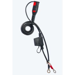 Cargador de bateria inteligente BS BATTERY BS15