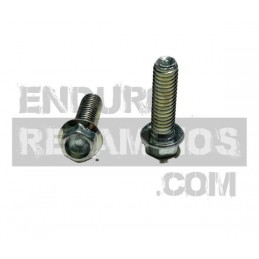 Tornillo con brida de fijación del acelerador (din 69FS2 M6x20) para AJP PF069FS26020
