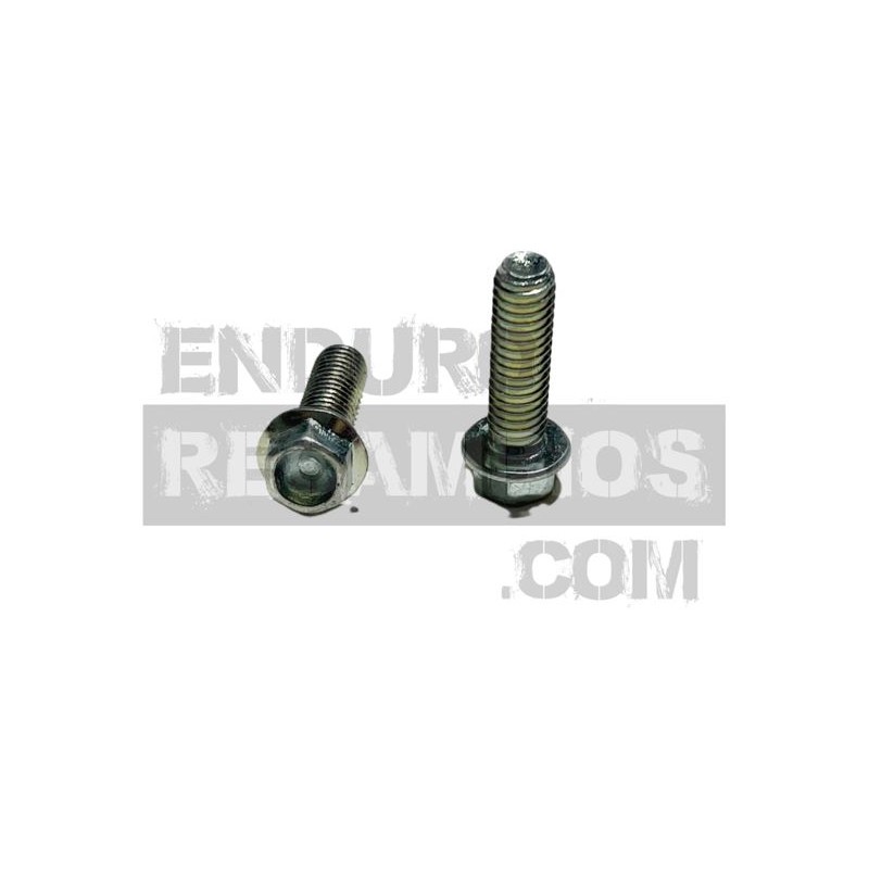 Tornillo con brida colector de escape (din 69FS2 M6x20) para AJP PF069FS26020