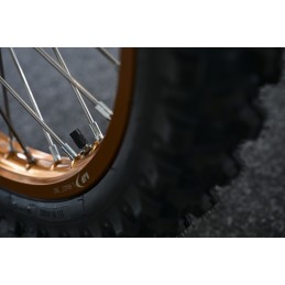 AJP PR7 650 Adventure Gold Edition 2026