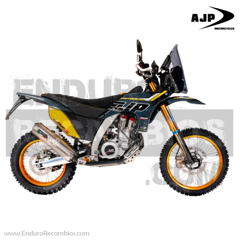 Kit Plásticos PR7 Gris Gold Edition – Compatible hasta 2024