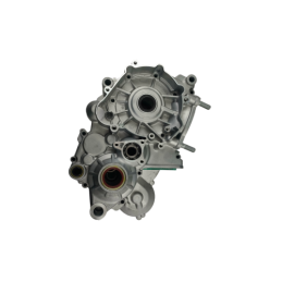 CARTER MOTOR RR 2T 250 - 026010458000