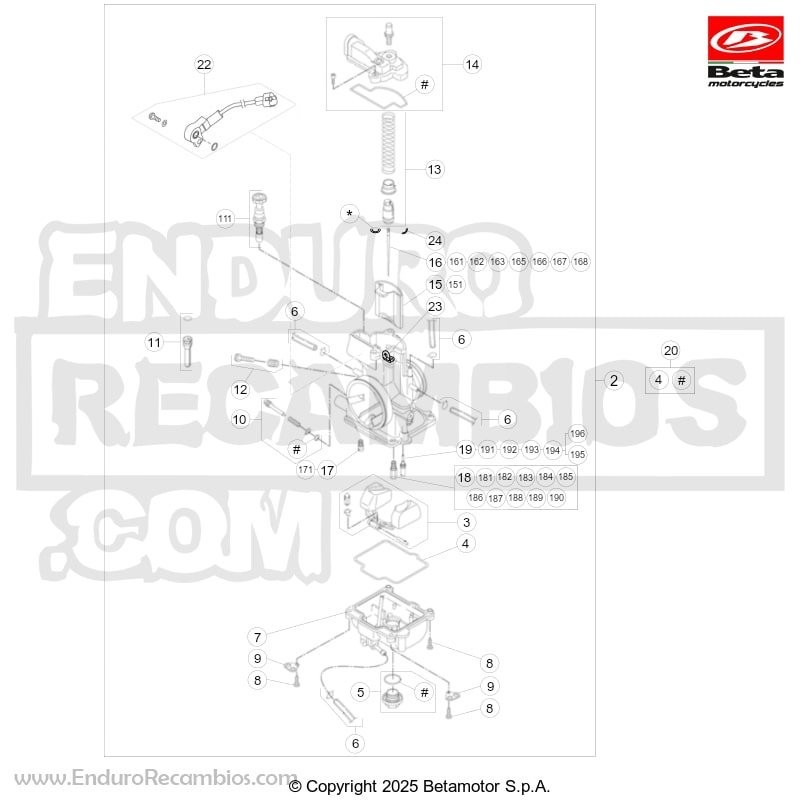 CHICLE MINIMO 55 - 1642359000