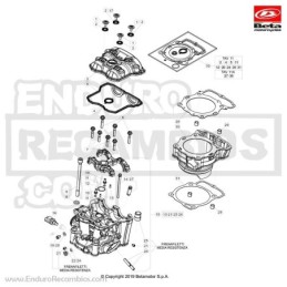TORNILLO TAPA CULATA - 006110250000
