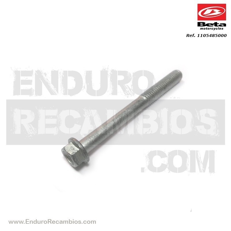 TORNILLO 6-60 RS CH 8 RR-4T - 1105485000