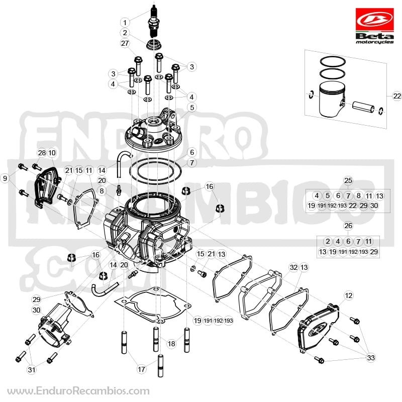 PISTON MOTOR D.73 C - 02602072800C