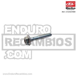 TORNILLO ESPECIAL 7 X 38 - 1152427000