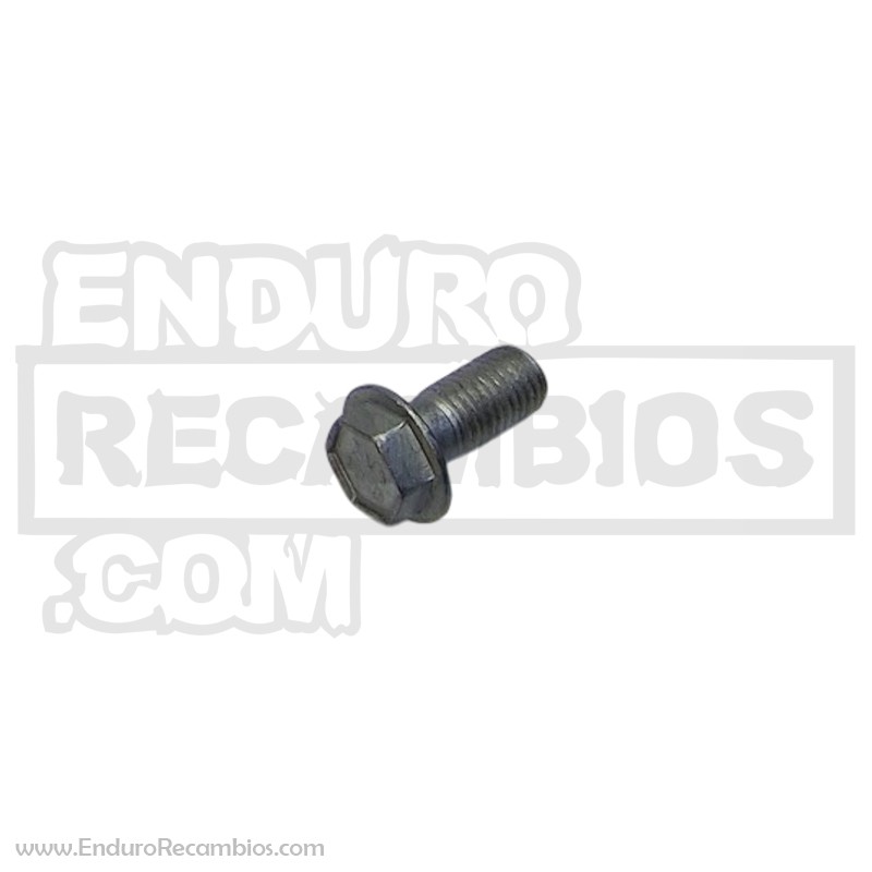 TORNILLO ESPECIAL M- 6 X 16 - 037030070000
