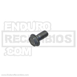 TORNILLO ESPECIAL M- 6 X 16 - 037.03.007.00.00
