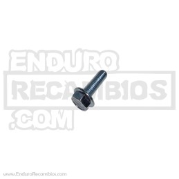 Tornillo con soporte reposa fijación brida (din 6921...